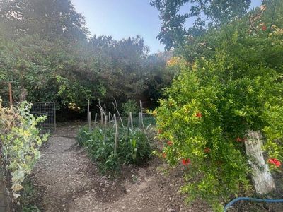 Muğla Fethiye Göcek Mah'de 518² 'e 30 İmarlı Satılık Arsa