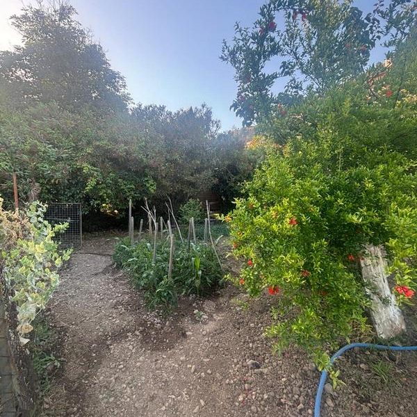 Muğla Fethiye Göcek Mah'de 518² 'e 30 İmarlı Satılık Arsa