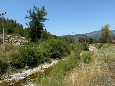 Dalaman Karacaağaç Mah'de Satılık 200 m2 Parseller