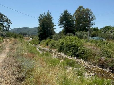 Dalaman Karacaağaç Mah'de Satılık 200 m2 Parseller