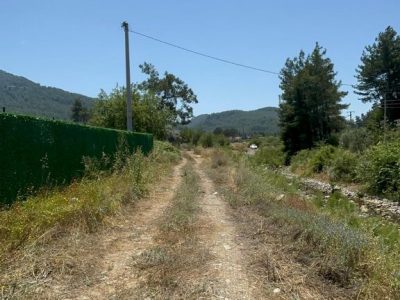Dalaman Karacaağaç Mah'de Satılık 200 m2 Parseller