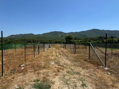 Dalaman Karacaağaç Mah'de Satılık 200 m2 Parseller