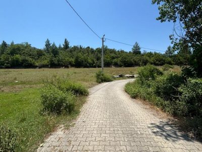 Dalaman'da 6574m2 Mükemmel Konumda Turizm İmarlı Doğayla İç İçe Satılık Arazi