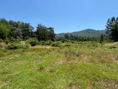 Dalaman'da 6574m2 Mükemmel Konumda Turizm İmarlı Doğayla İç İçe Satılık Arazi