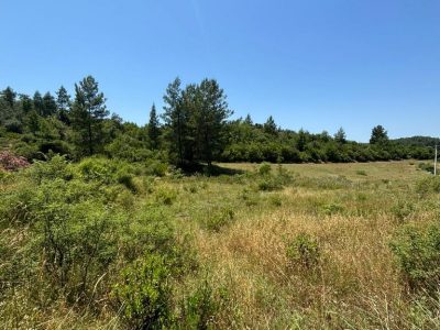 Dalaman'da 6574m2 Mükemmel Konumda Turizm İmarlı Doğayla İç İçe Satılık Arazi