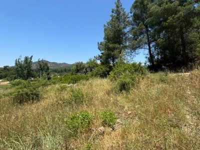 Dalaman'da 6574m2 Mükemmel Konumda Turizm İmarlı Doğayla İç İçe Satılık Arazi