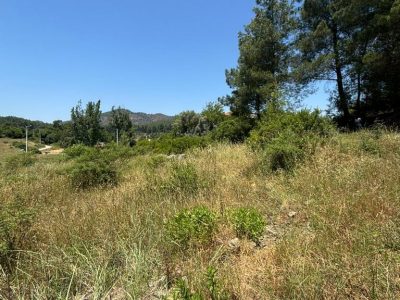 Dalaman'da 6574m2 Mükemmel Konumda Turizm İmarlı Doğayla İç İçe Satılık Arazi