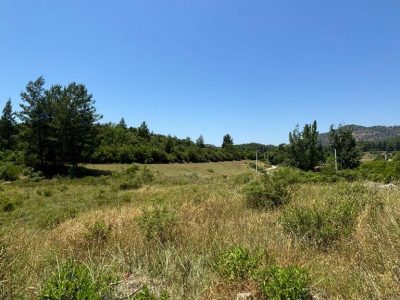 Dalaman'da 6574m2 Mükemmel Konumda Turizm İmarlı Doğayla İç İçe Satılık Arazi