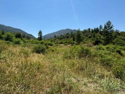 Dalaman'da 6574m2 Mükemmel Konumda Turizm İmarlı Doğayla İç İçe Satılık Arazi