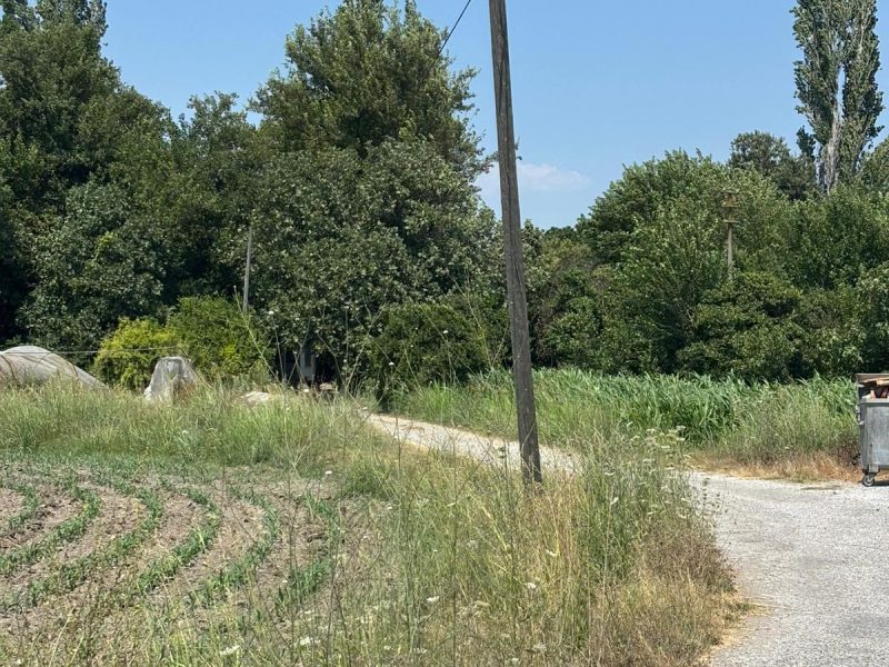 Dalaman Karaçalı'da /3 Kat İmarlı 395 m² Yatırımlık Arsa!